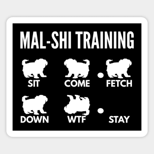 Mal-Shi Training Maltese Shih Tzu Tricks Magnet